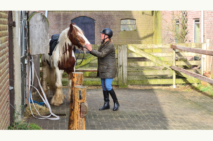  Paard en Bed Otterlo (vh Stoeterij Willemien) VMP032